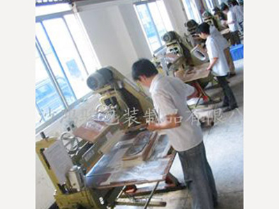 公司展示9 公司展示9